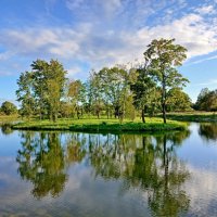 Летние отражения. :: Лия ☼