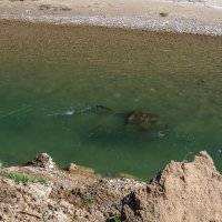 Река Уруп :: Игорь Сикорский