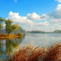 Осень. :: Владимир 