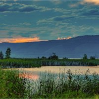 *** :: Алексей Мезенцев