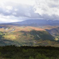 Разноцветье Камчатки :: Марина Виноградова