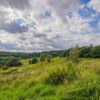 Август в Царицыно... :: Владимир Жданов