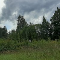 Август :: Наталья Герасимова