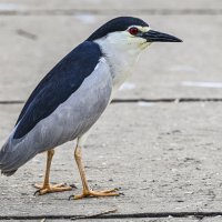 в ожидании... :: Осень 