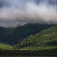 ... :: Жора Житников