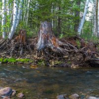 Речка Куштумга. :: Алексей Трухин