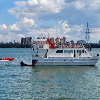 Кто первый... :: Татьяна Машошина