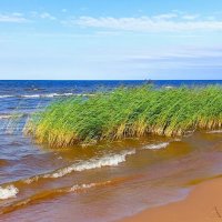 Ладожское озеро :: Хватова Марина 