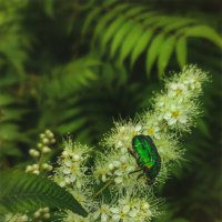 *** :: AZ east3 *** :: AZ east3