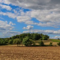 Пейзаж :: Waldemar F.