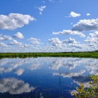 Облака - белогривые лошадки :: Yuri Mekhonoshin