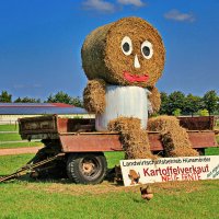 Когда урожай собран или забавы аграриев :: Андрей K. Когда урожай собран или забавы аграриев :: Андрей K.