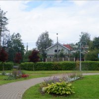 Белоостров :: zavitok *