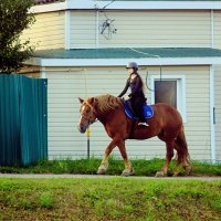 Вечерняя прогулка :: Сергей Кочнев