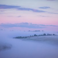 **** :: Елизавета .