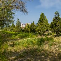 Актау :: Анатолий Чикчирный