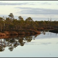 +++ :: Aleksandr Gal +++ :: Aleksandr Gal