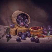 * :: Svetlana Galvez