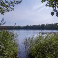 г.Покров,Озеро Черное :: Сергей Цветков г.Покров,Озеро Черное :: Сергей Цветков