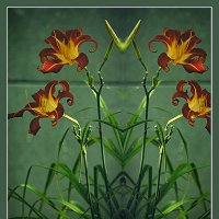 Композиция с лилиями :: Владимир Кроливец