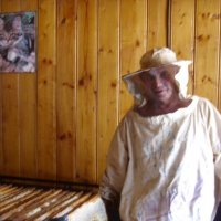 Качают    мёд - 2 :: Галина Кузьмина