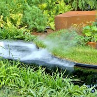 ФЕСТИВАЛЬ В ЦАРИЦЫНО :: АЛЕКСАНДР 