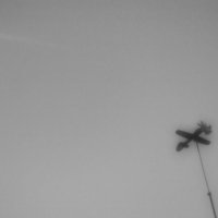 Флюгер :: Сергей Хабибула