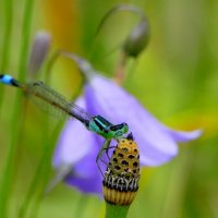 из снятого сегодня 2 :: Александр Прокудин