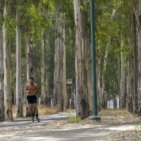 в здоровом теле... :: Осень 