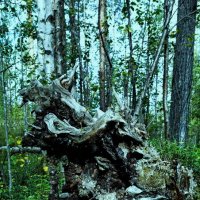 я увидел голову собаки.А вы? пишите в коментах :: Артём я увидел голову собаки.А вы? пишите в коментах :: Артём