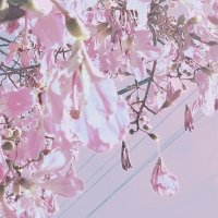 13  ОПЕН (241) :: OPEN WAYS ALL