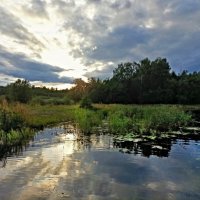 На закате :: Veera V