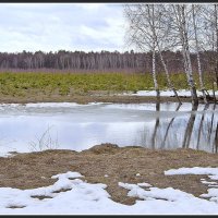 Апрель :: **** vedin