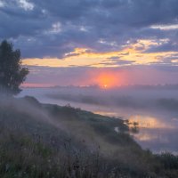 **** :: Елизавета .