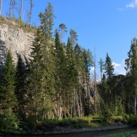 Прижались ёлочки к стеночке... :: Галина Ильясова Прижались ёлочки к стеночке... :: Галина Ильясова