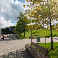 *** :: Геннадий Порохов