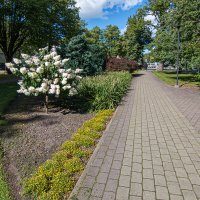 *** :: Геннадий Порохов