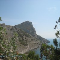 Природа Крыма :: Amazing Cosmea