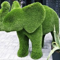 Вышел слоник погулять... :: Валентина *