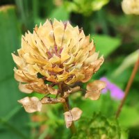 ,,, :: Сергей Тимоновский