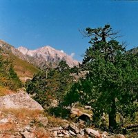 ДОЛИНА ОЙГАИНГА. :: Виктор Осипчук ДОЛИНА ОЙГАИНГА. :: Виктор Осипчук