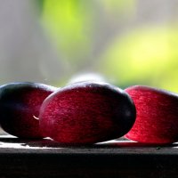 Солнечные виноградинки :: Oleg S Солнечные виноградинки :: Oleg S