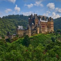 Шёл дождь. Грибной... :: Dmitriy Dikikh