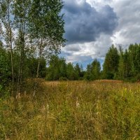 Вторая половина Августа 11 :: Андрей Дворников