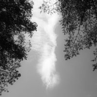 Назва. отсу. :: Денис Безногов