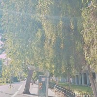 13  ОПЕН (242) :: OPEN WAYS ALL