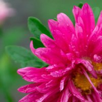 после дождя :: Анна Самара после дождя :: Анна Самара