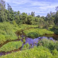 Речка Шередарь :: Сергей Цветков Речка Шередарь :: Сергей Цветков