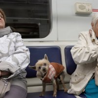 24 августа :: Михаил Бибичков 24 августа :: Михаил Бибичков