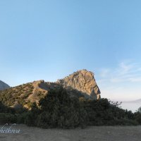 Природа Крыма :: Amazing Cosmea